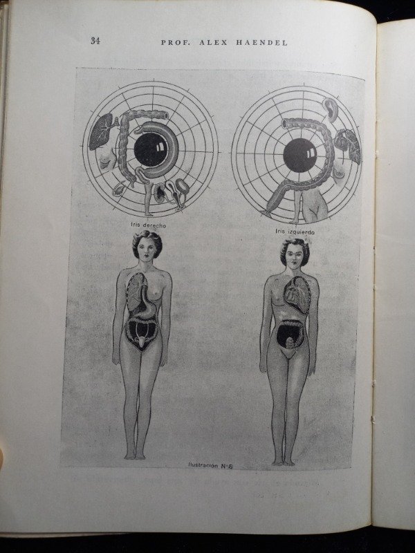 Producto - La Irisdiagnosis - Alex Haendel - 6