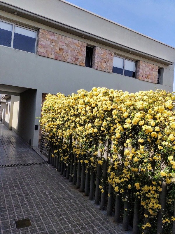 Producto - DUEÑO ALQUILA DEPARTAMENTO DÚPLEX NUEVO AMOBLADO