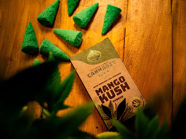 Producto - SAHUMERIO EN CONO LINEA CANNABIS