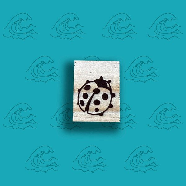Producto - 3x2 Vaquita de San Antonio