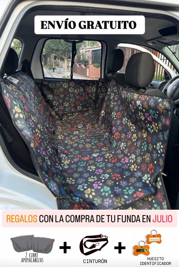 Producto - BARTUFUNDA HUELLAS DE COLORES