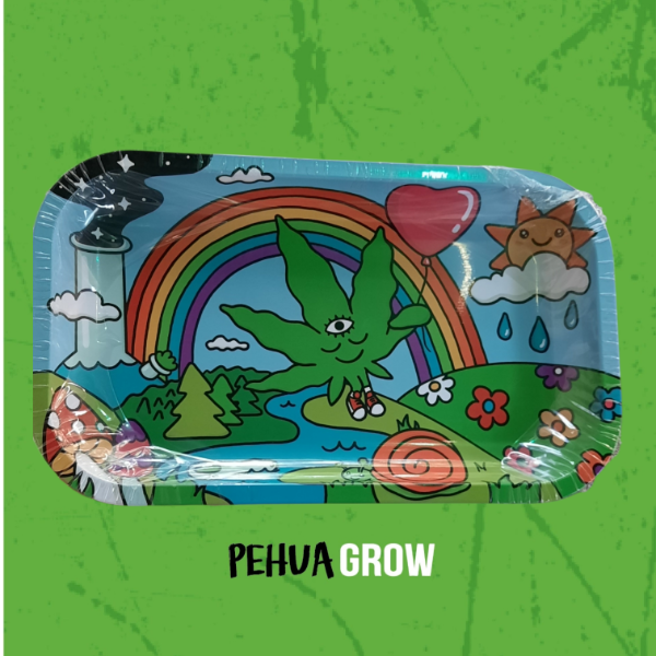 Producto - bandeja arcoiris