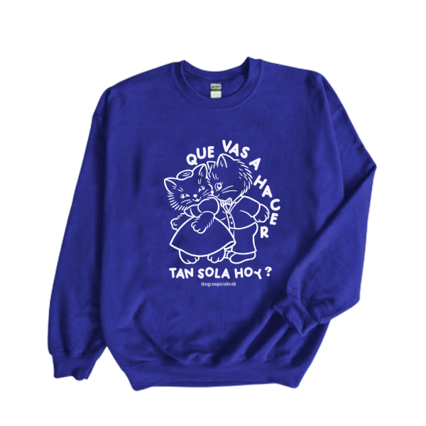 Producto - Buzo Gatitos