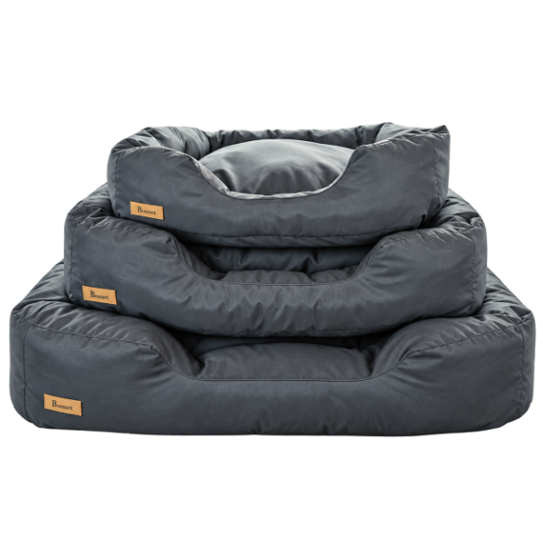 Producto - ART. D 1005 MOISES DE TRACKER
