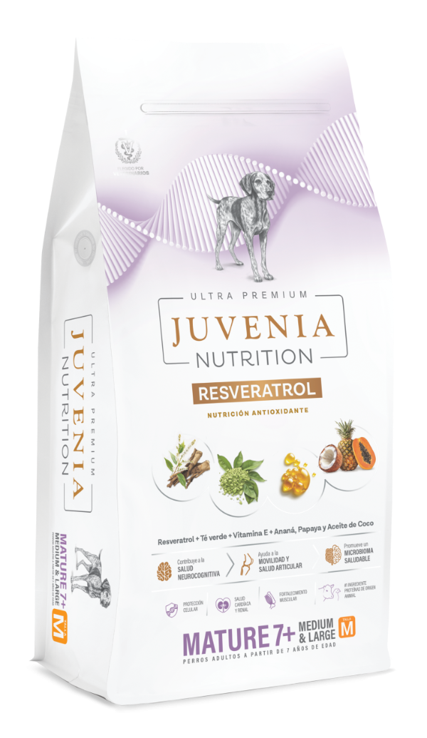 Producto - Juvenia Perro Senior Raza Mediana y Grande - 0