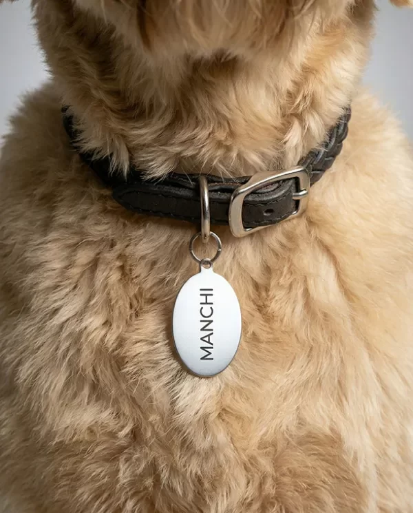 Producto - Set Chapita Personalizada para Mascotas