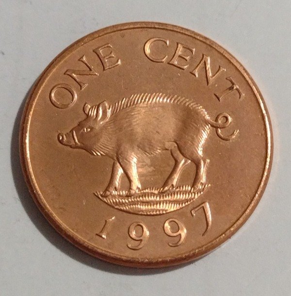 Producto - Bermuda 1 cent 1997 Cerdo
