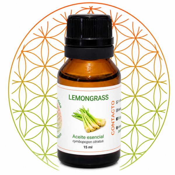 Producto - LEMONGRASS AC. ES. .(cymbopogon citratus)