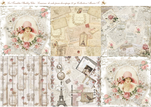 Producto - SHABBY 6