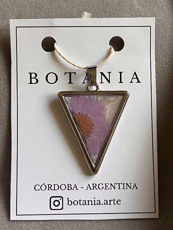 Producto - Margarita 8 - 0