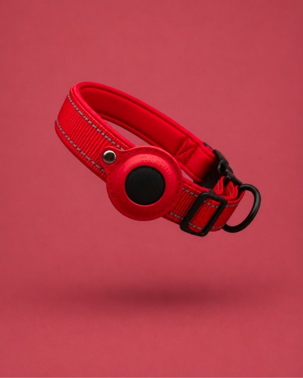 Producto - Collar Balto ROJO