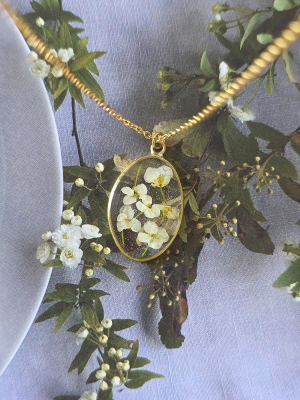 Producto - alba de oro