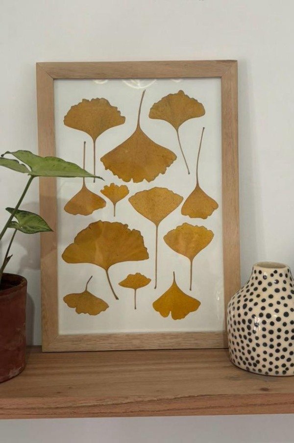 Producto - Cuadro Ginkgo Biloba