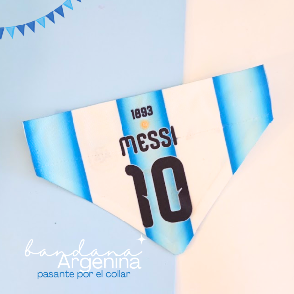 Producto - Bandana Argentina sola