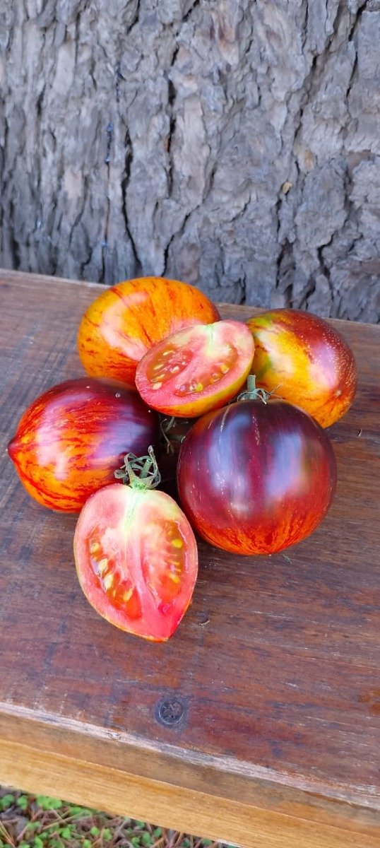 Producto - Semillas de tomate Gargamel