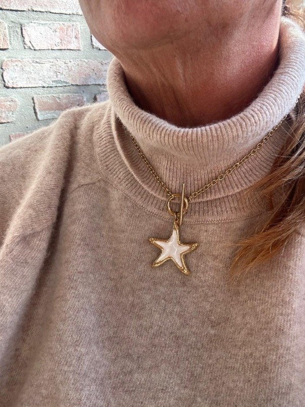 Producto - Collar acero estrella-Nacar