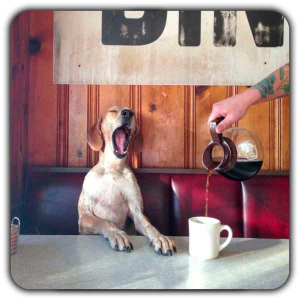 Producto - Imán Perrito Sueño Cafe 218 10x10cm