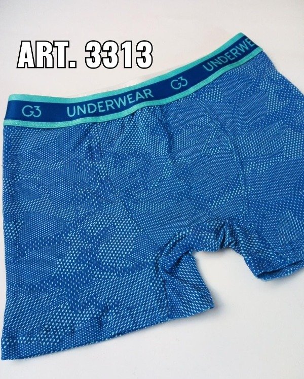 Producto - BOXER G3 3313