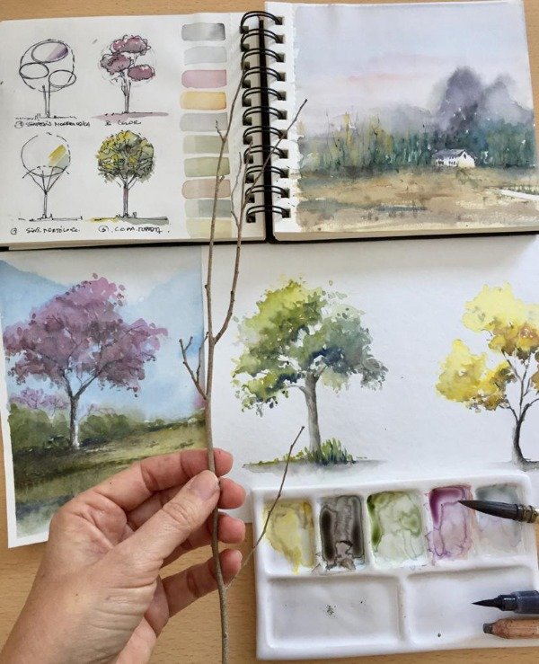 Producto - Curso III  "El árbol y su entorno cercano"