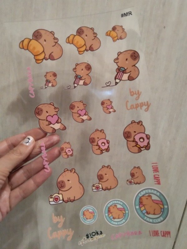 Producto - UV Mediana 16x28cm Capibara #1