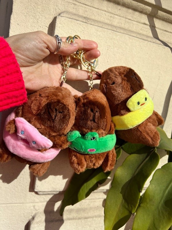 Producto - 6 llaveros peluche capibara promo hasta el viernes