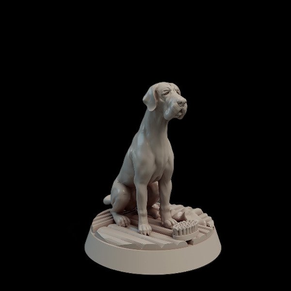 Producto - Perro Gran Danes
