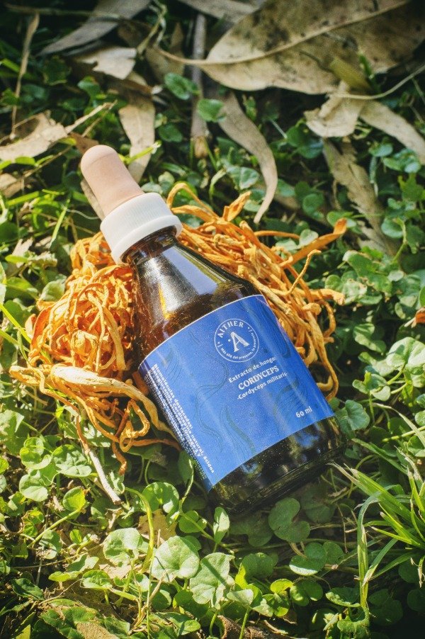 Producto - Extracto Cordyceps 60ml