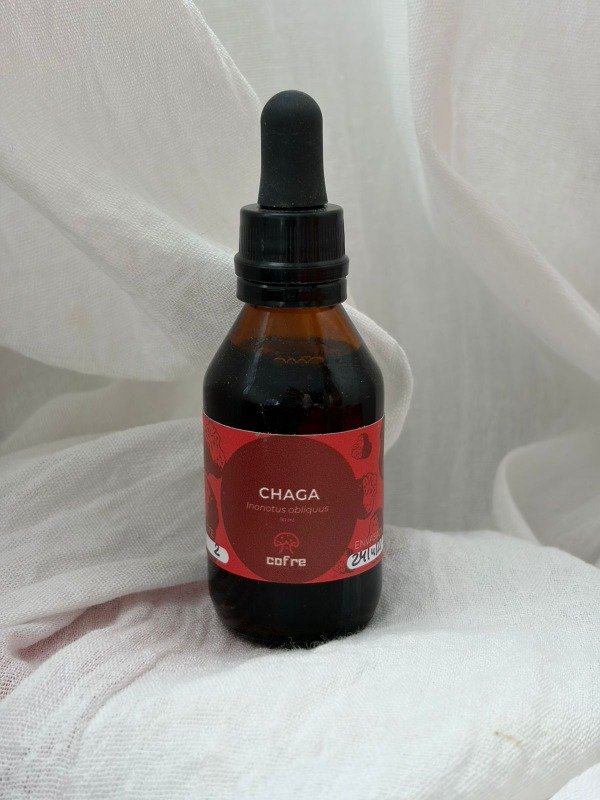 Producto - Chaga, doble extracto 50 ml