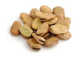 Producto - Semillas agroecologicas de habas