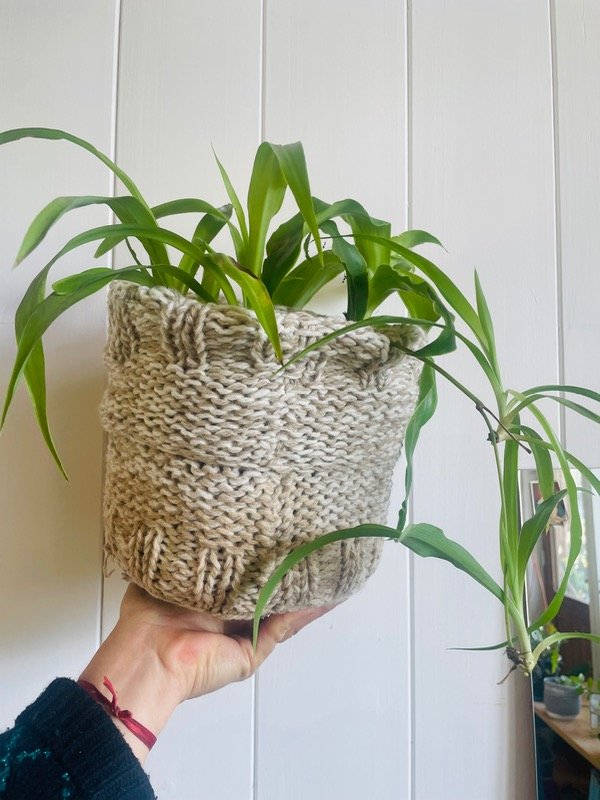 Producto - Convivencia en maceta tejida colores crudos