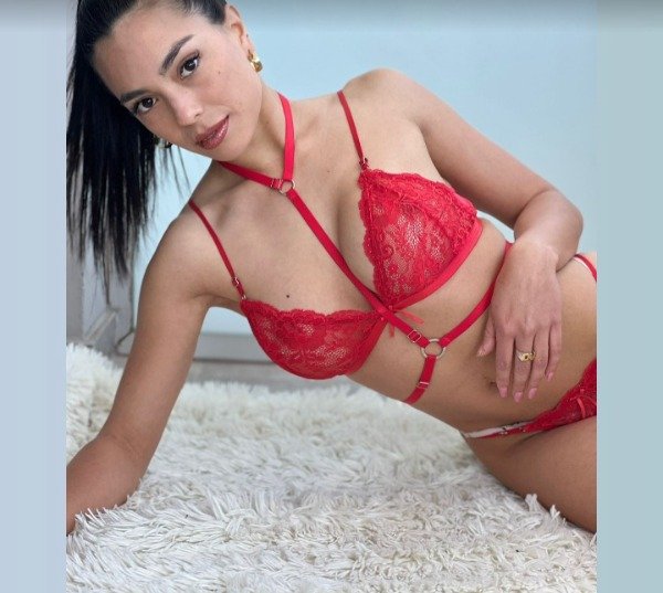 Producto - ARNES DE PECHO
