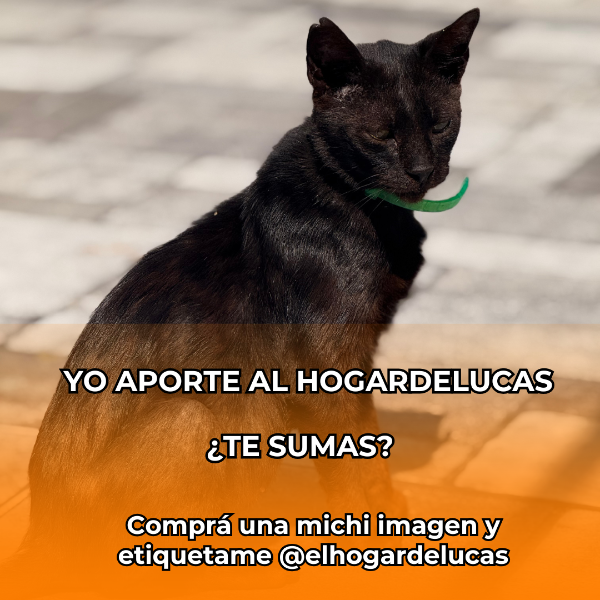 Producto - Michi imagen 08