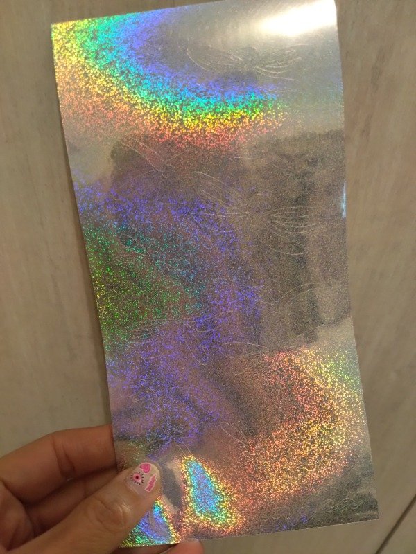 Producto - Vinilos de Corte Sin Pelar 10x20cm HeP Libélulas