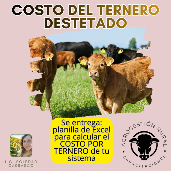 Producto - Taller Online: Costo del Ternero