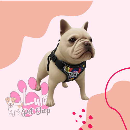 Producto - ARNESES  KANI