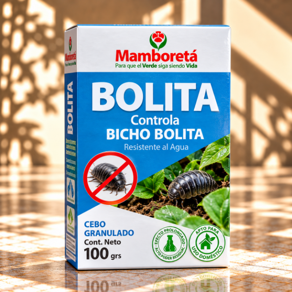 Producto - Mamboreta Bolita