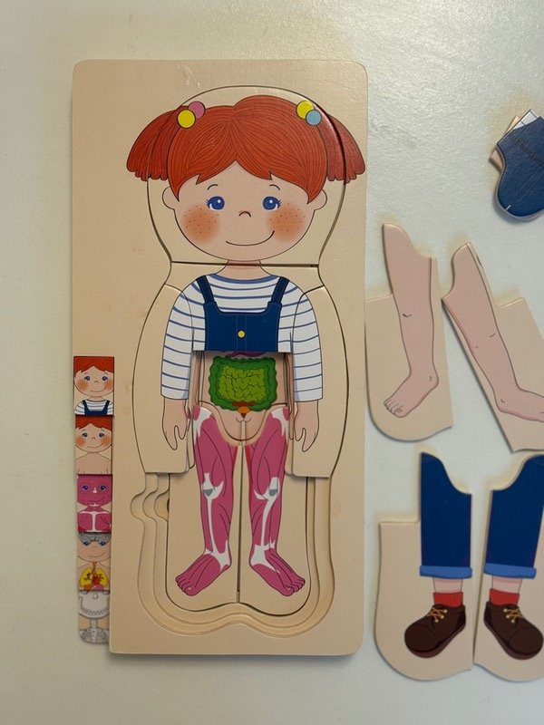 Producto - Rompecabeza cuerpo humano Femenino