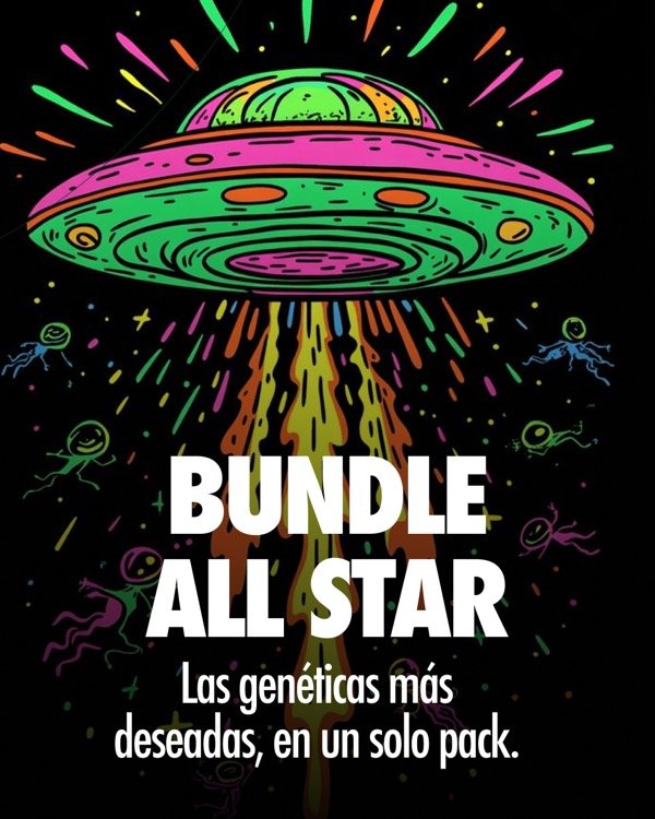 Producto - Bundle All Star (9 UNIDADES)