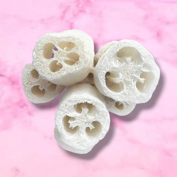 Producto - ESPONJA LUFFA