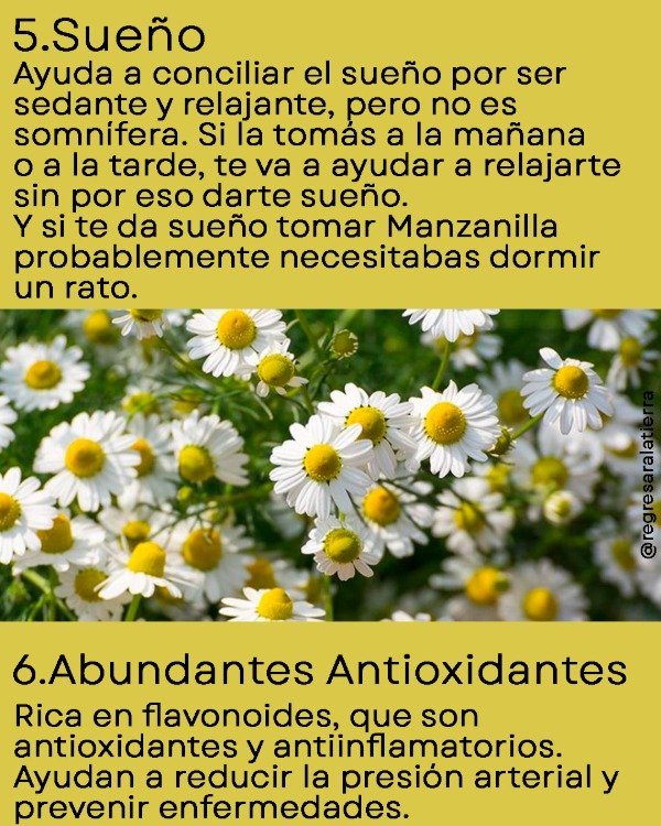 Miniatura de producto - 9