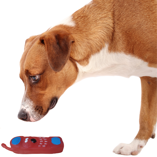 Producto - Juguete para perros modelo telefono con chifle - 0