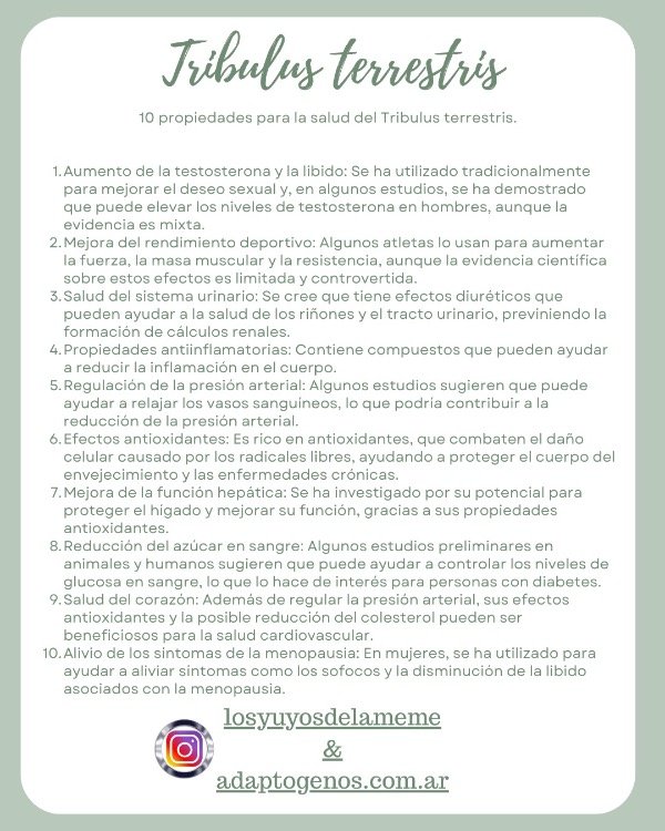 Miniatura de producto - 9
