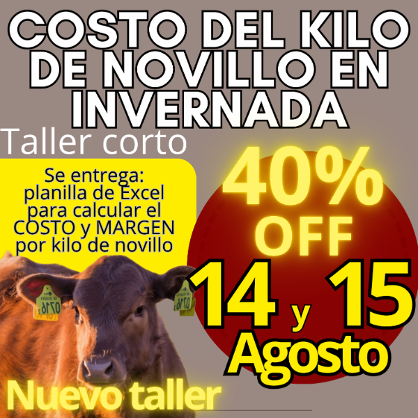 Producto - Taller corto: cálculo del costo del kilo de novillo