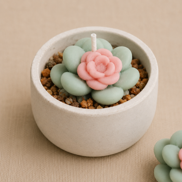 Producto - MOLDE FLOR PARA SUCULENTAS Y CACTUS