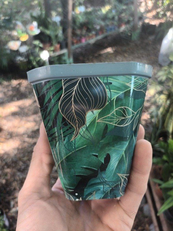 Producto - Sublimada Para Colgar Maceta - 4