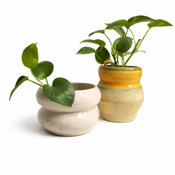 Producto - Florero/Maceta Chamota