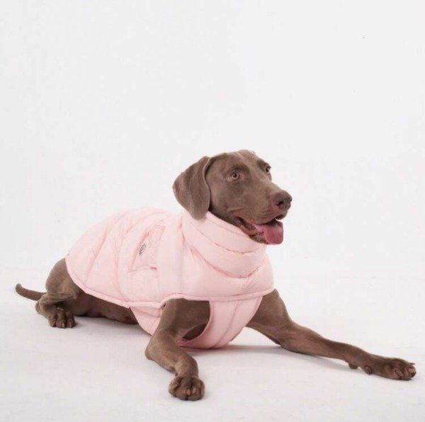 Producto - Campera de abrigo rosa