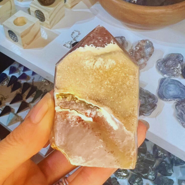 Producto - Agata Maestra 06