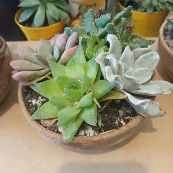 Miniatura de producto - 4