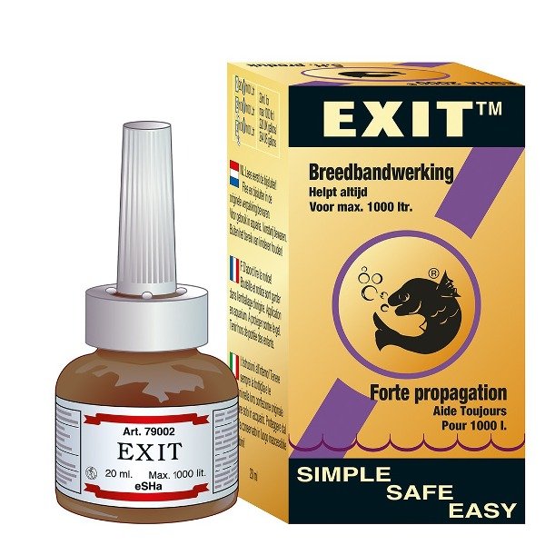 Producto - Exit Punto Blanco